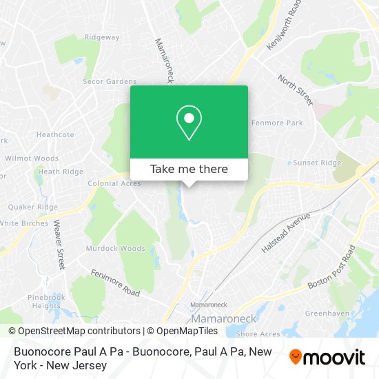 Buonocore Paul A Pa - Buonocore, Paul A Pa map