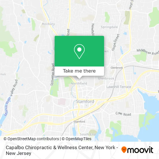 Capalbo Chiropractic & Wellness Center map
