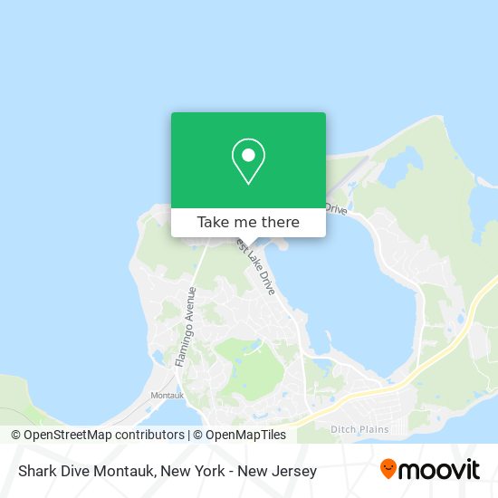Shark Dive Montauk map