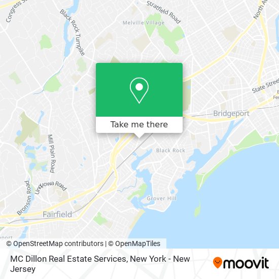MC Dillon Real Estate Services map