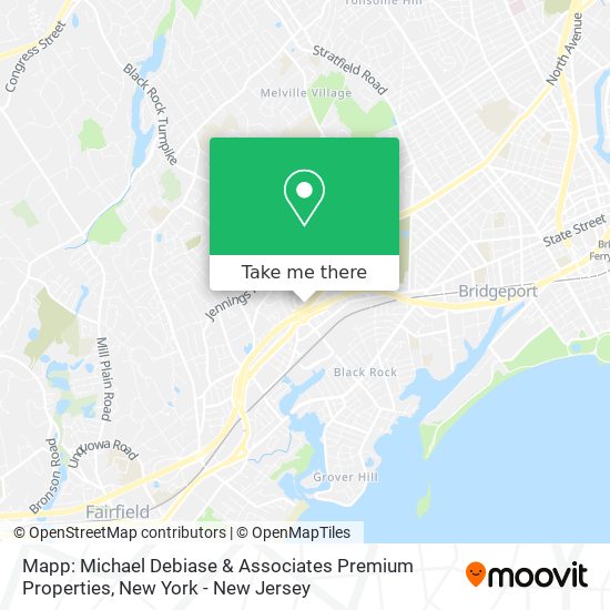 Mapp: Michael Debiase & Associates Premium Properties map