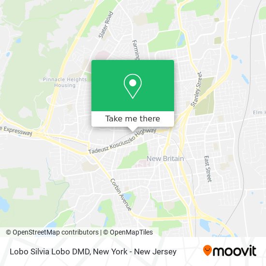 Mapa de Lobo Silvia Lobo DMD