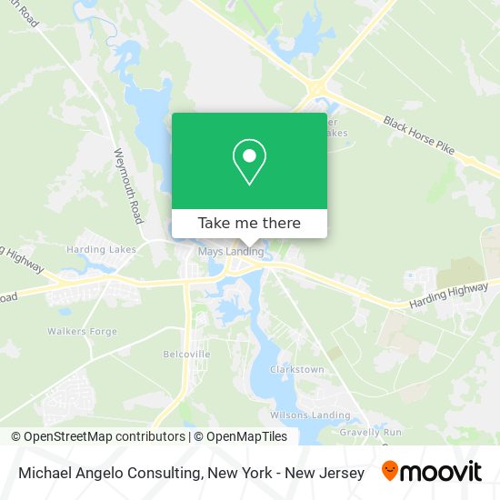 Michael Angelo Consulting map