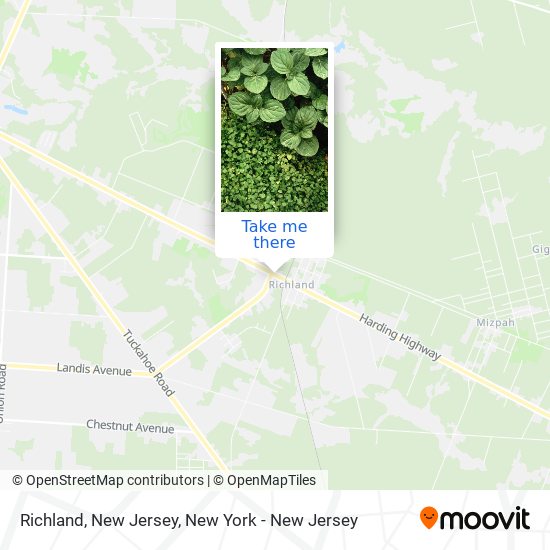 Mapa de Richland, New Jersey