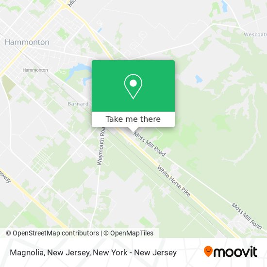 Magnolia, New Jersey map