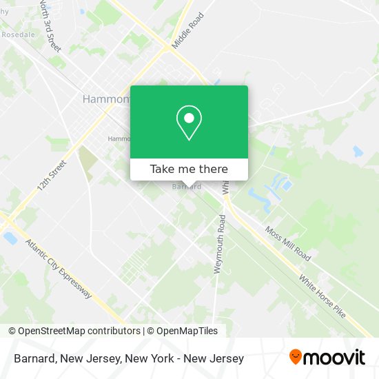 Barnard, New Jersey map