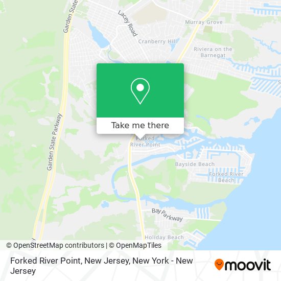 Forked River Point, New Jersey map