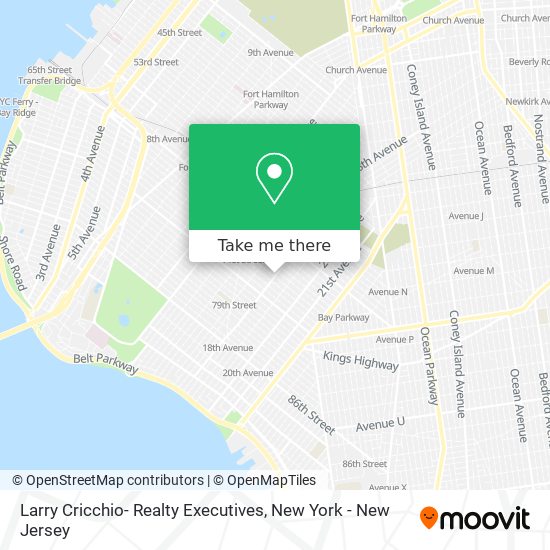 Larry Cricchio- Realty Executives map