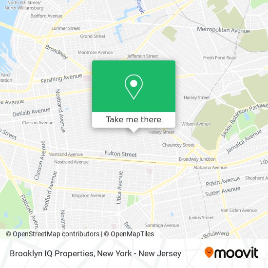 Mapa de Brooklyn IQ Properties