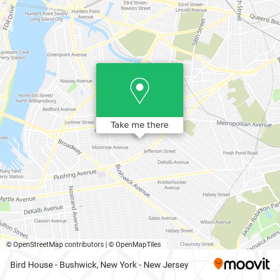 Bird House - Bushwick map