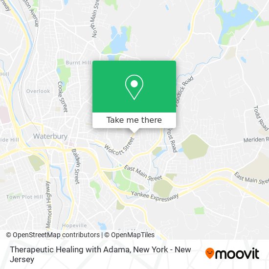Therapeutic Healing with Adama map