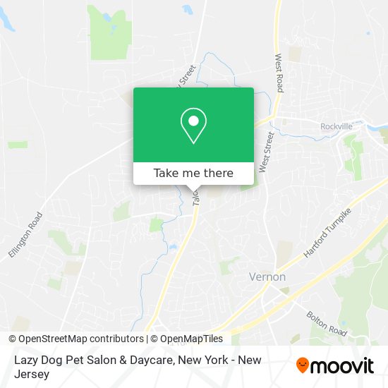 Lazy Dog Pet Salon & Daycare map