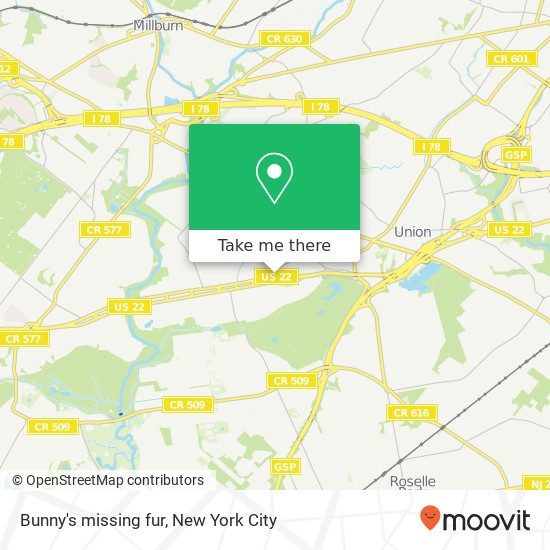 Bunny's missing fur map