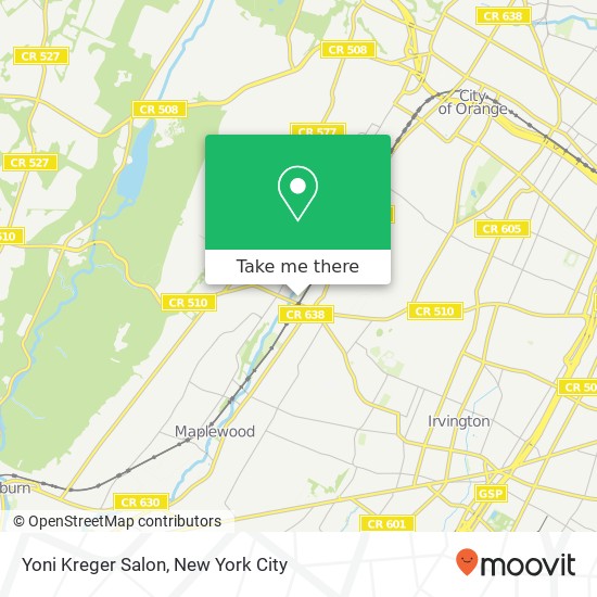 Mapa de Yoni Kreger Salon