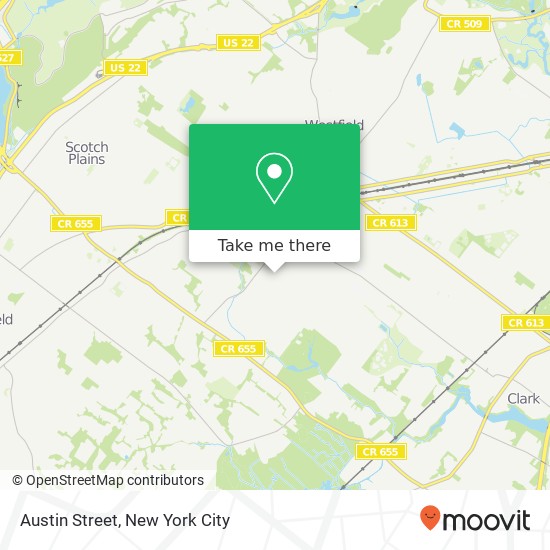 Austin Street map