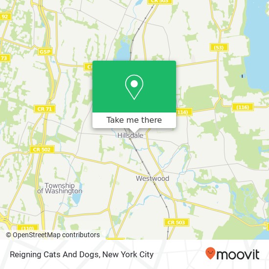 Reigning Cats And Dogs map