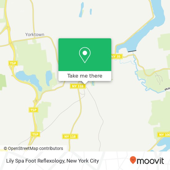 Lily Spa Foot Reflexology map