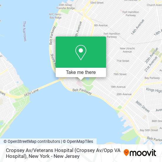 Mapa de Cropsey Av / Veterans Hospital (Cropsey Av / Opp VA Hospital)