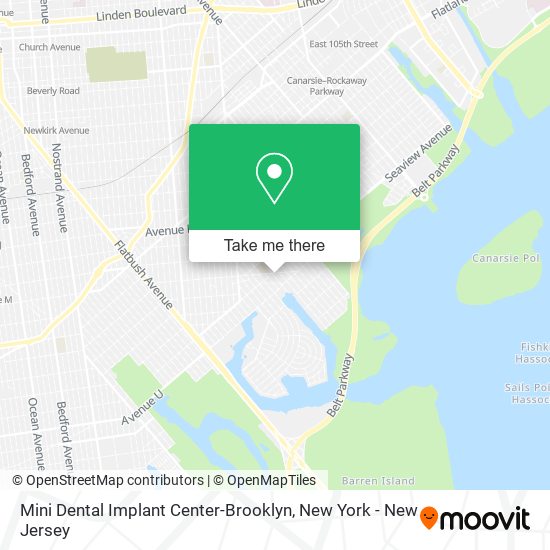 Mini Dental Implant Center-Brooklyn map