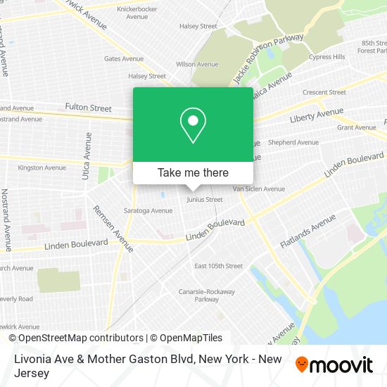 Livonia Ave & Mother Gaston Blvd map