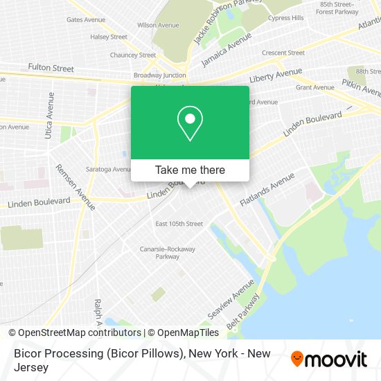 Bicor Processing (Bicor Pillows) map