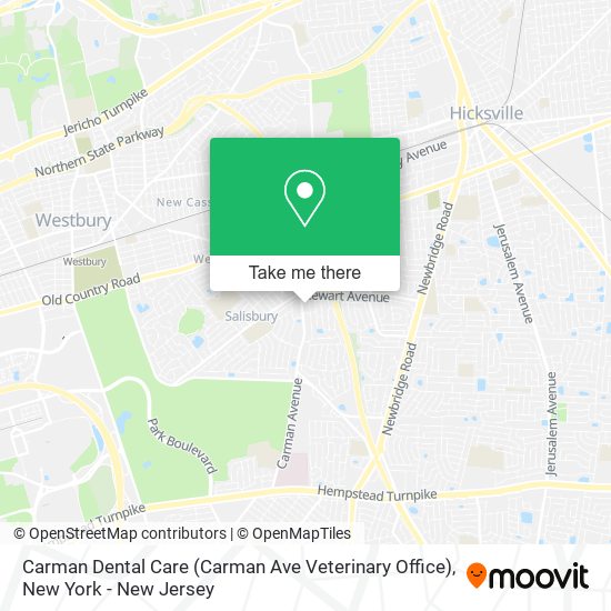 Carman Dental Care (Carman Ave Veterinary Office) map