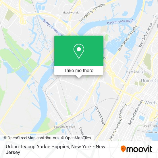 Urban Teacup Yorkie Puppies map