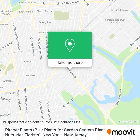 Mapa de Pitcher Plants (Bulk Plants for Garden Centers Plant Nursuries Florists)