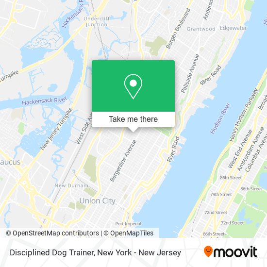 Disciplined Dog Trainer map