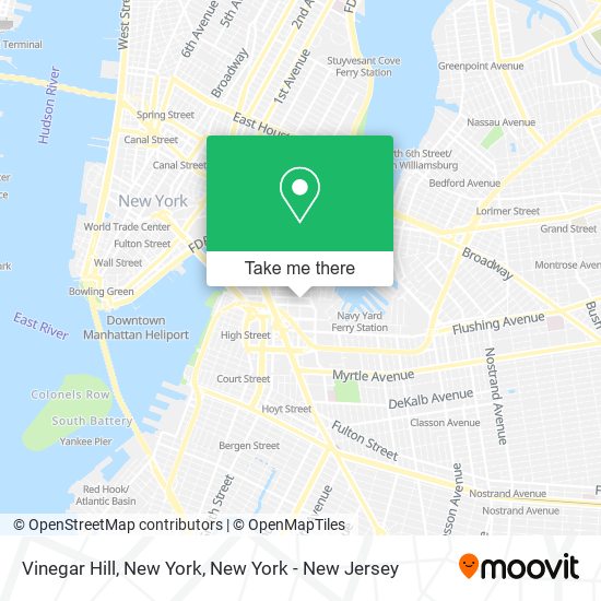 Vinegar Hill, New York map