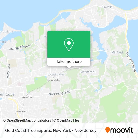 Mapa de Gold Coast Tree Experts