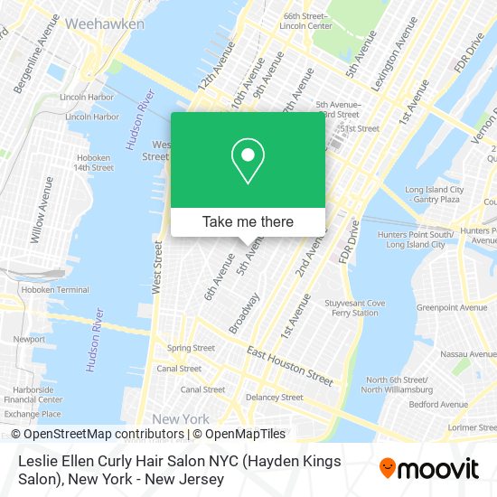 Leslie Ellen Curly Hair Salon NYC (Hayden Kings Salon) map