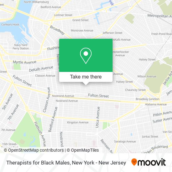 Therapists for Black Males map