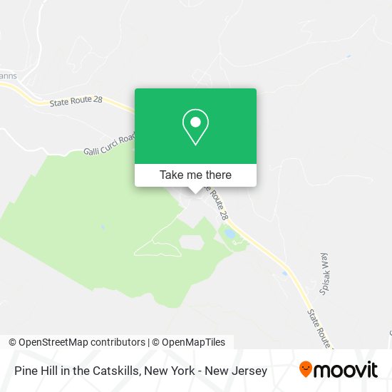 Pine Hill in the Catskills map