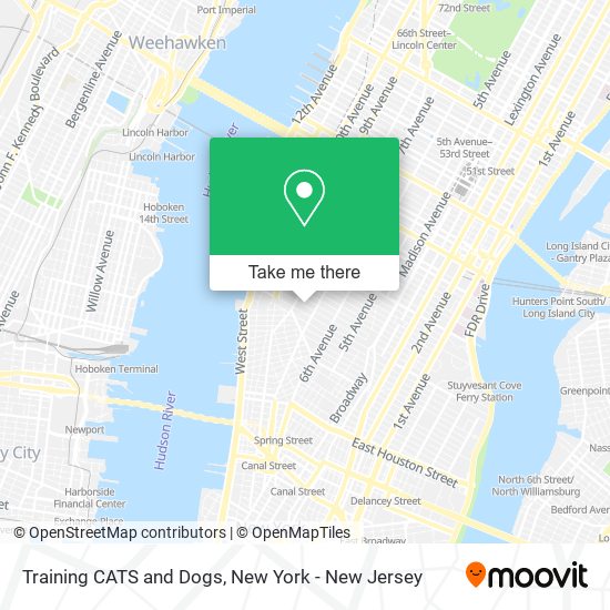 Training CATS and Dogs map