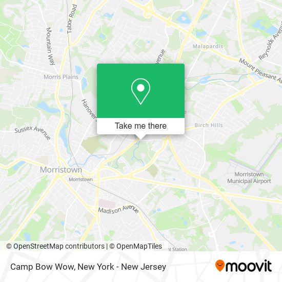 Camp Bow Wow map