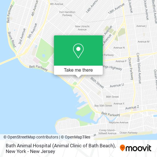 Mapa de Bath Animal Hospital (Animal Clinic of Bath Beach)