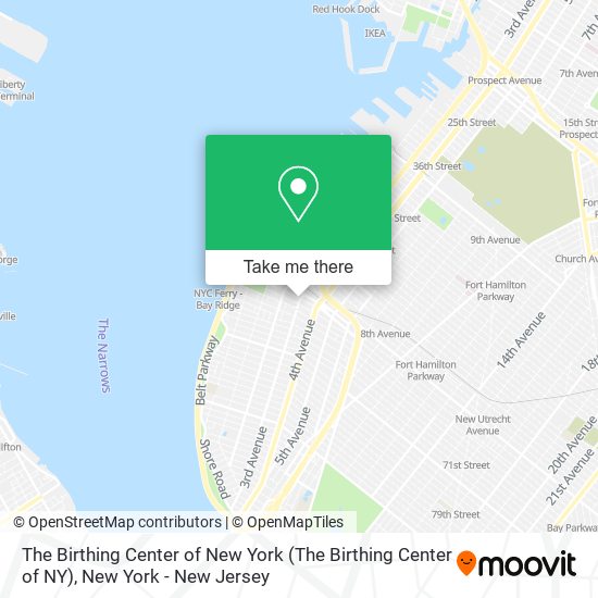 The Birthing Center of New York (The Birthing Center of NY) map