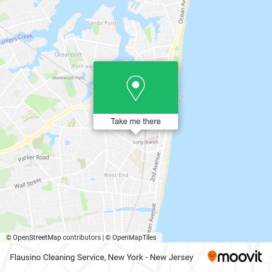 Flausino Cleaning Service map