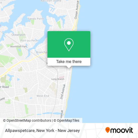 Allpawspetcare map