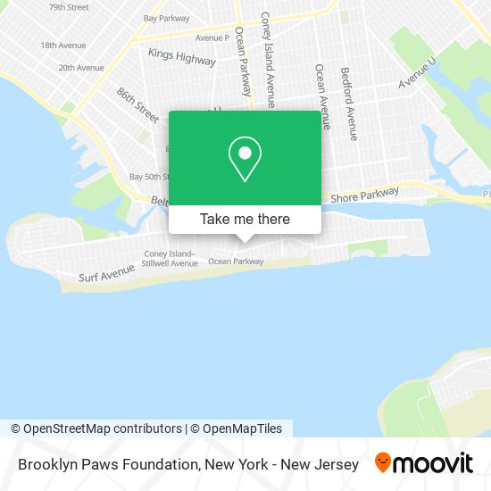 Brooklyn Paws Foundation map