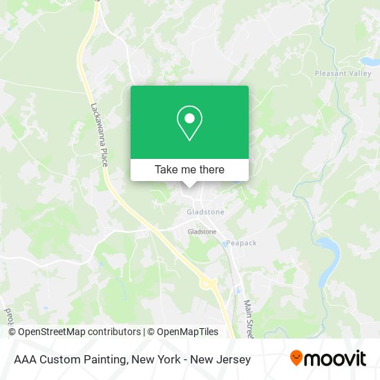 AAA Custom Painting map