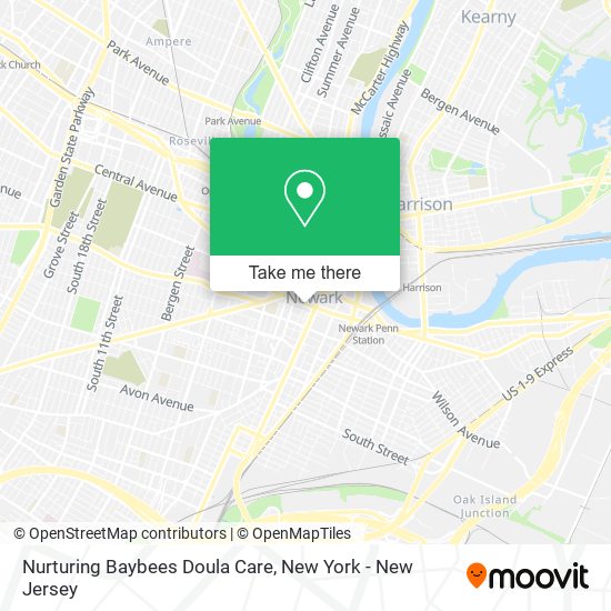 Nurturing Baybees Doula Care map