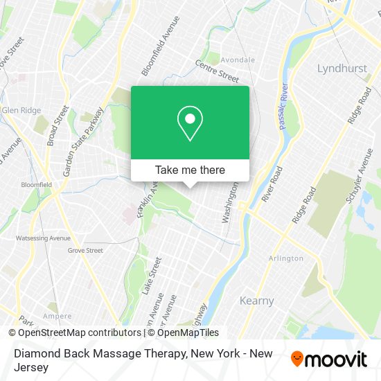 Diamond Back Massage Therapy map