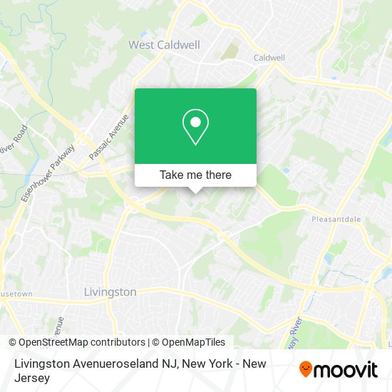 Livingston Avenueroseland NJ map