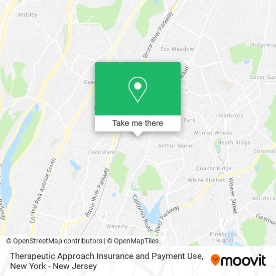 Therapeutic Approach Insurance and Payment Use map