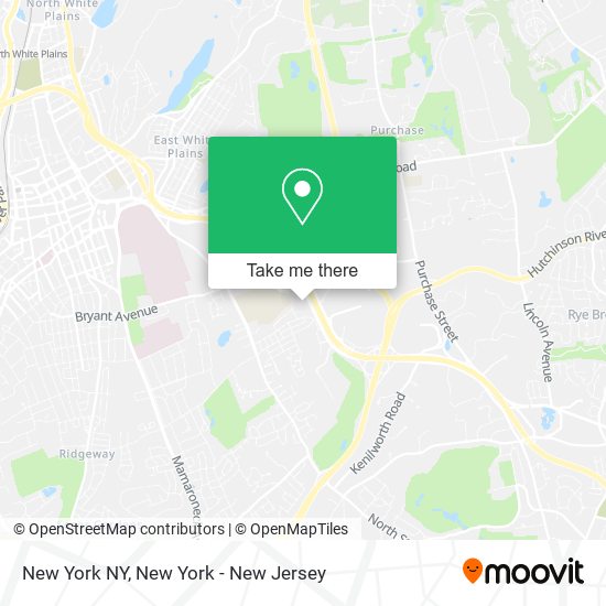 New York NY map