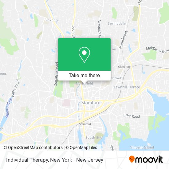 Individual Therapy map