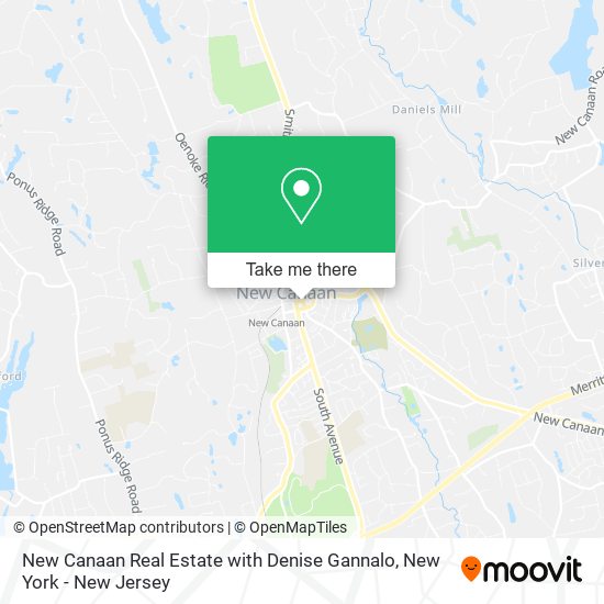 New Canaan Real Estate with Denise Gannalo map