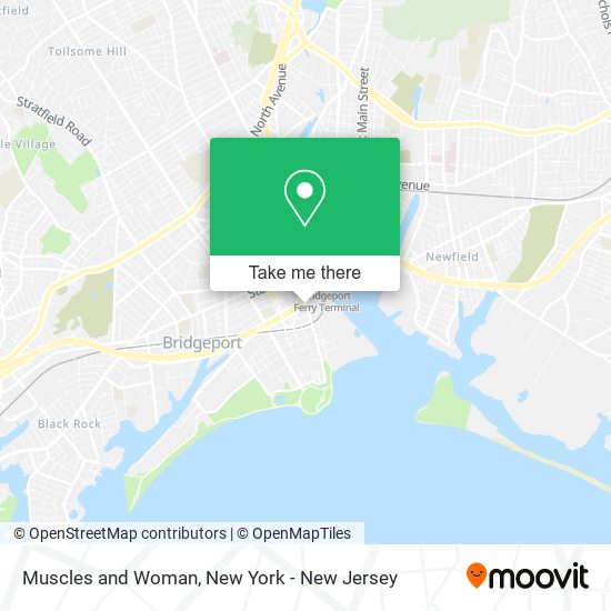Muscles and Woman map